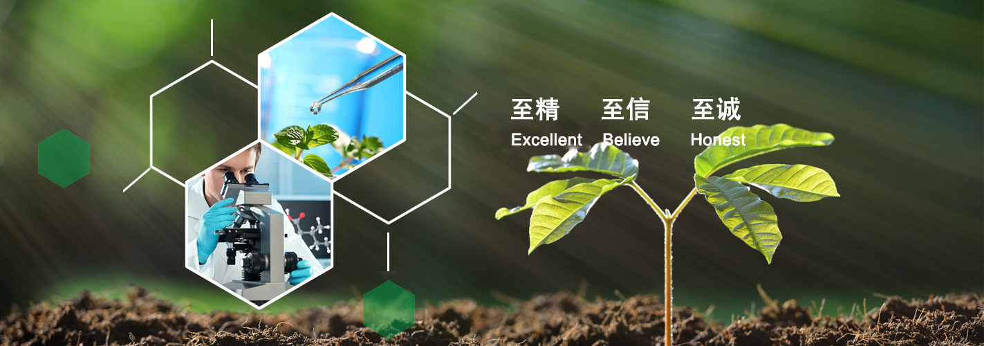張家港市飛航科技有限公司